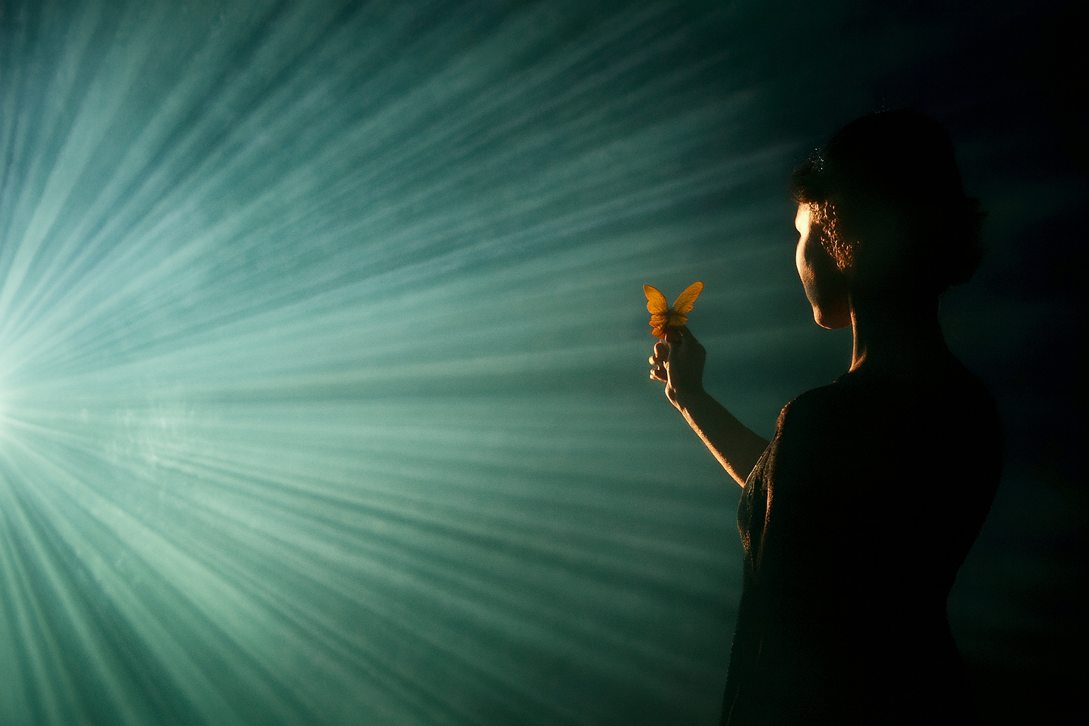 Häivähdys valosta kameran linssillä, joka paljastaa varjojen rytmin.